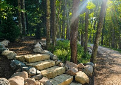 Stone steps bordered by rocks lead into a sunlit forest trail.